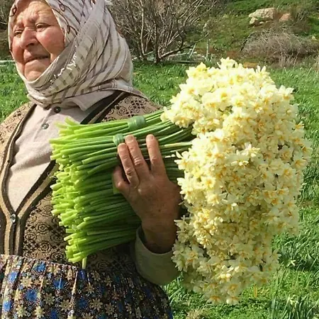 Aparthotel Türkmen Demre